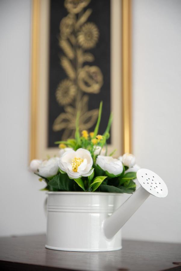 Apartmani Silvana&Vera 센 외부 사진