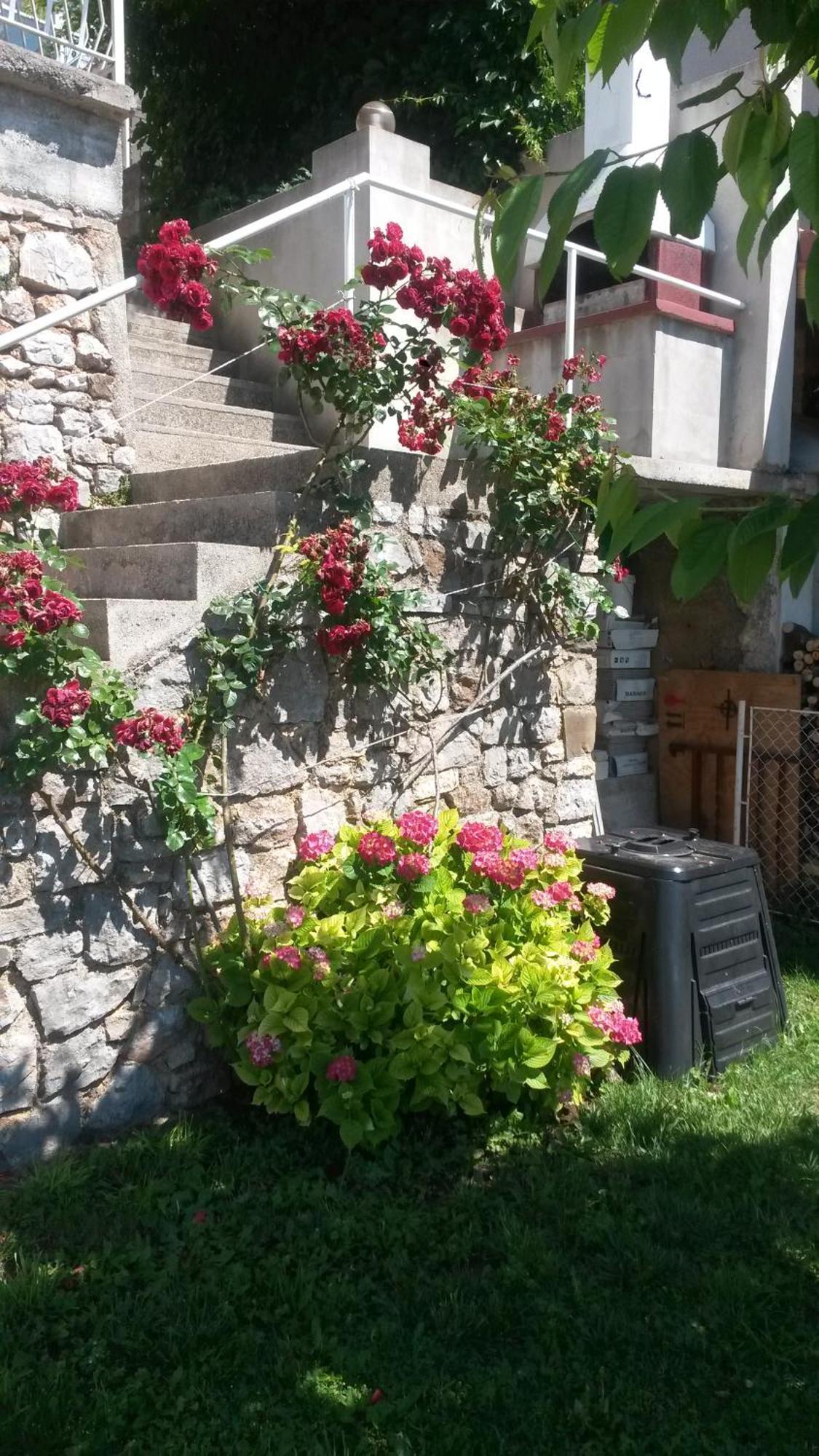 Apartmani Silvana&Vera 센 외부 사진